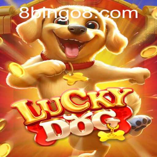Discovering LuckyDog: An Exciting New World of BINGO8